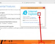 How to export Internet Explorer bookmarks?